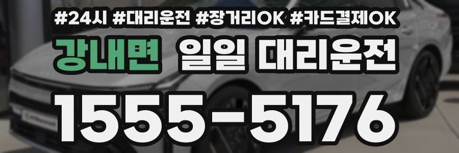 강내면 일일 대리운전