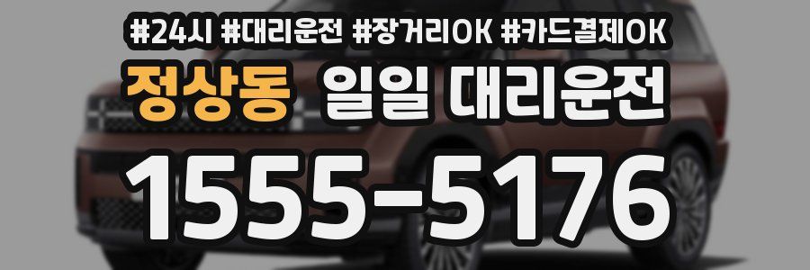 정상동 일일 대리운전