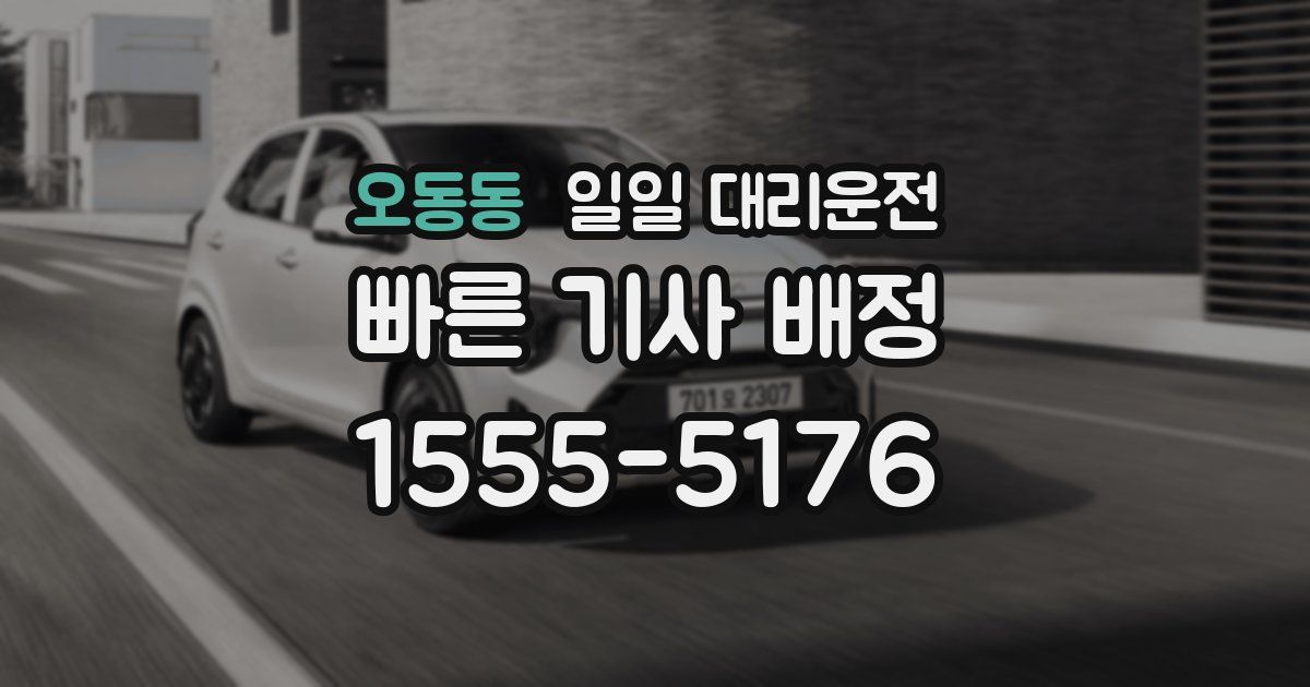 오동동 일일 대리운전
