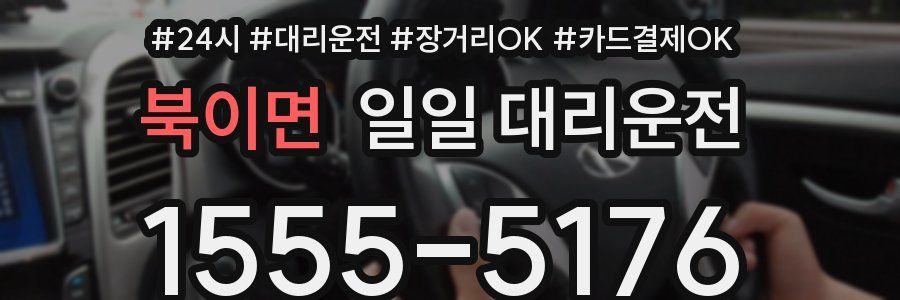 북이면 일일 대리운전