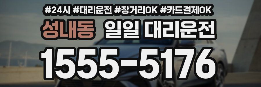 성내동 일일 대리운전