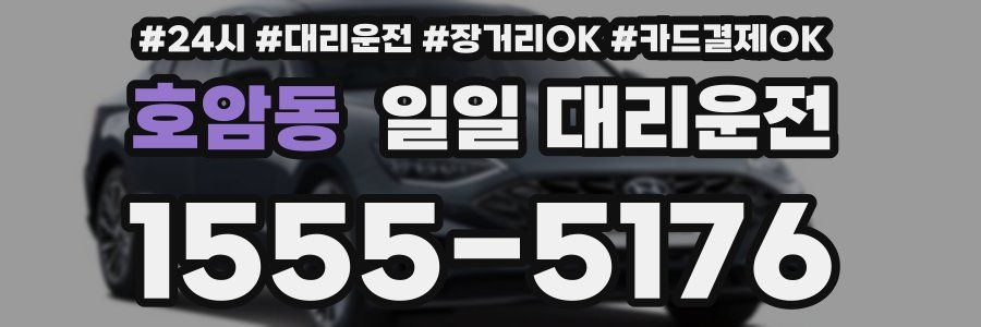 호암동 일일 대리운전