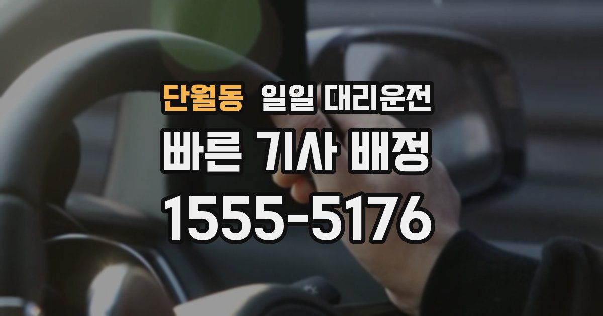 단월동 일일 대리운전