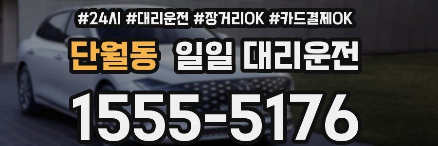 단월동 일일 대리운전