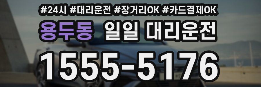 용두동 일일 대리운전