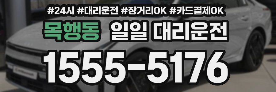 목행동 일일 대리운전