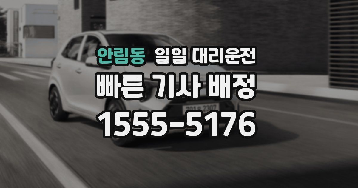 안림동 일일 대리운전