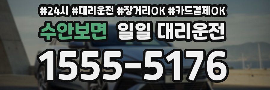 수안보면 일일 대리운전