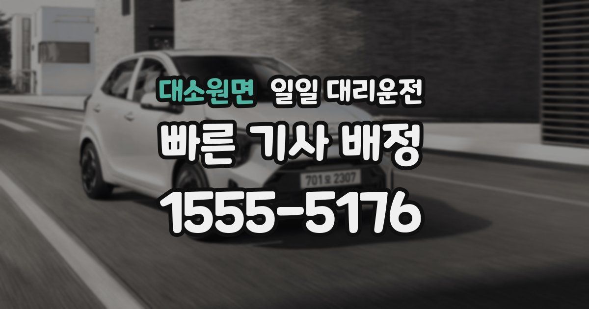 대소원면 일일 대리운전