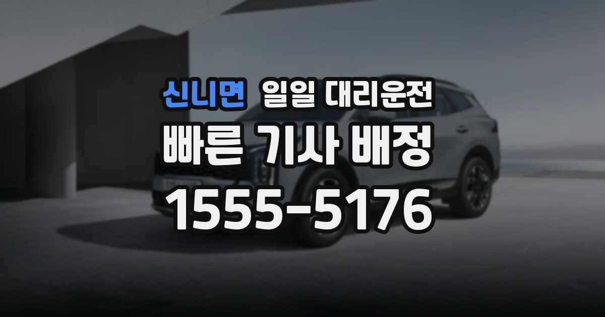 신니면 일일 대리운전