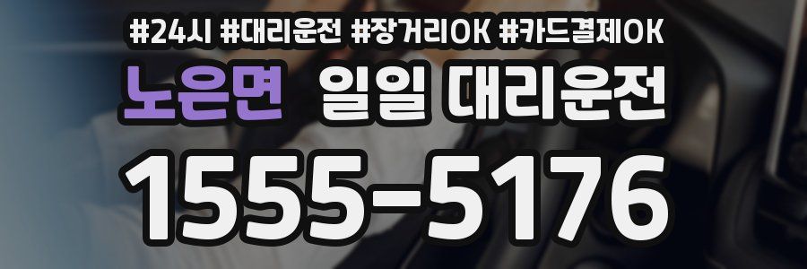 노은면 일일 대리운전