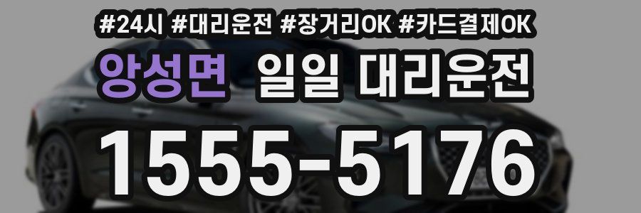 앙성면 일일 대리운전