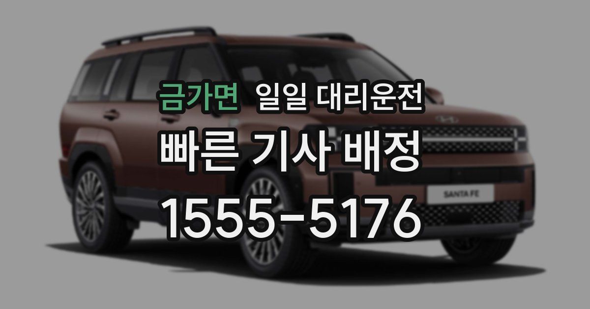 금가면 일일 대리운전