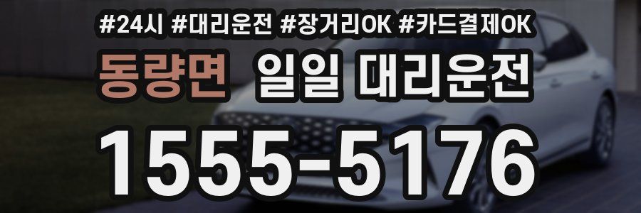 동량면 일일 대리운전