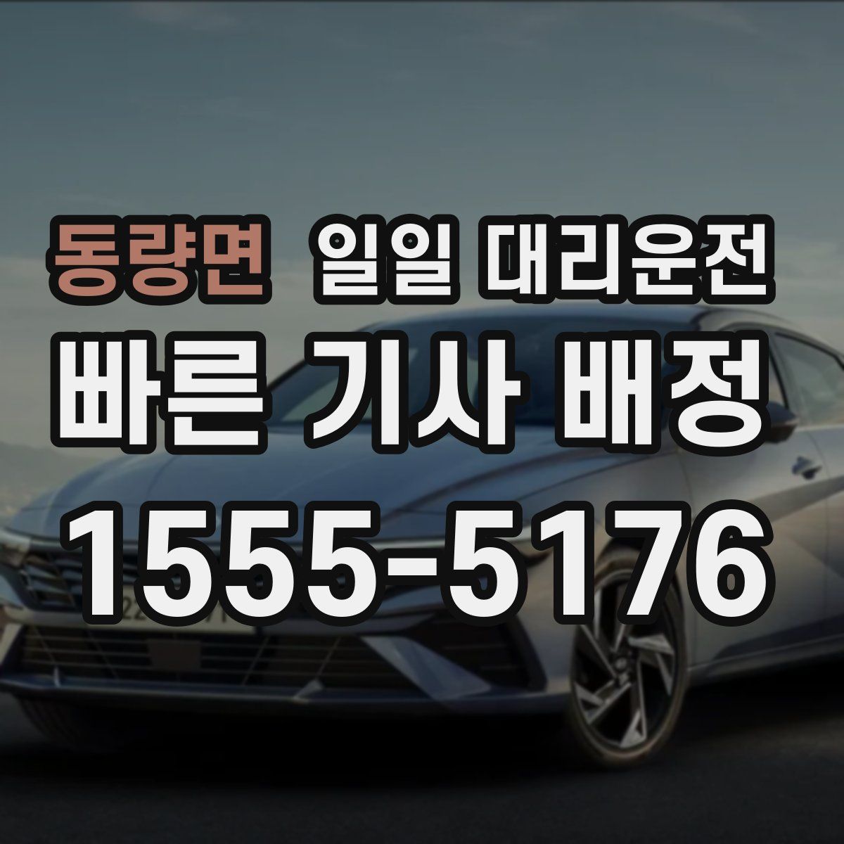 동량면 일일 대리운전
