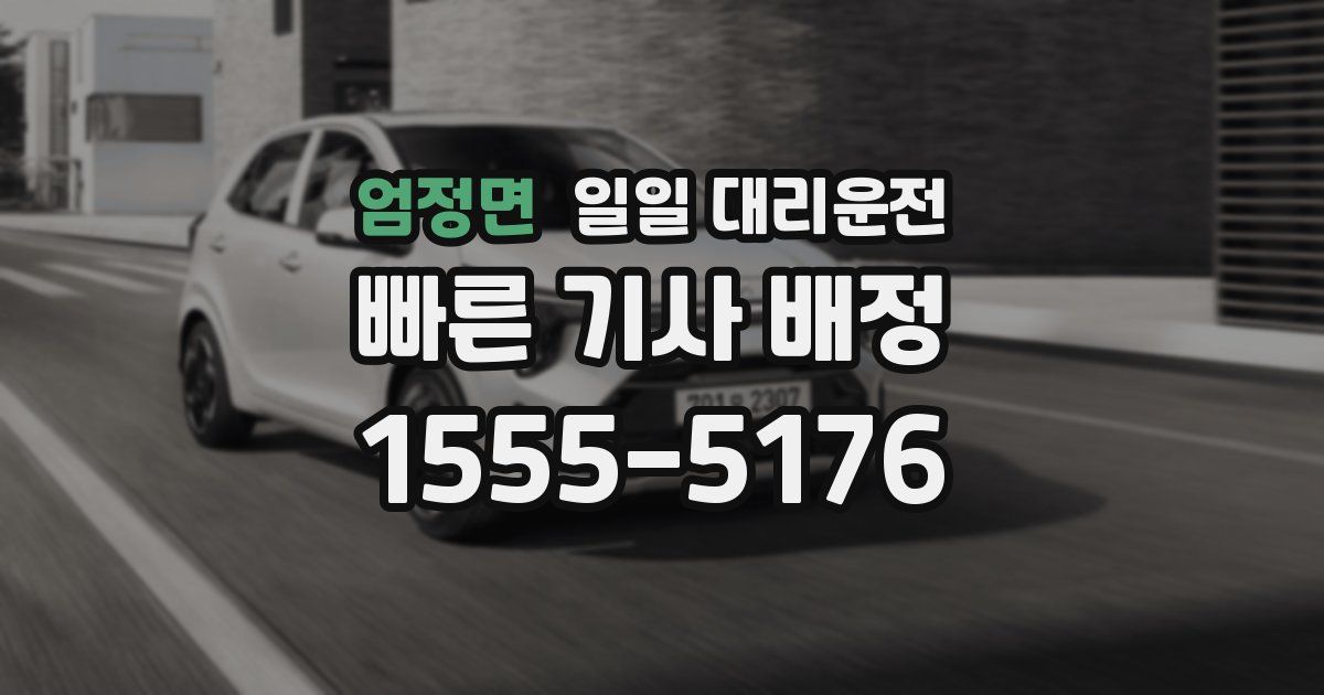 엄정면 일일 대리운전