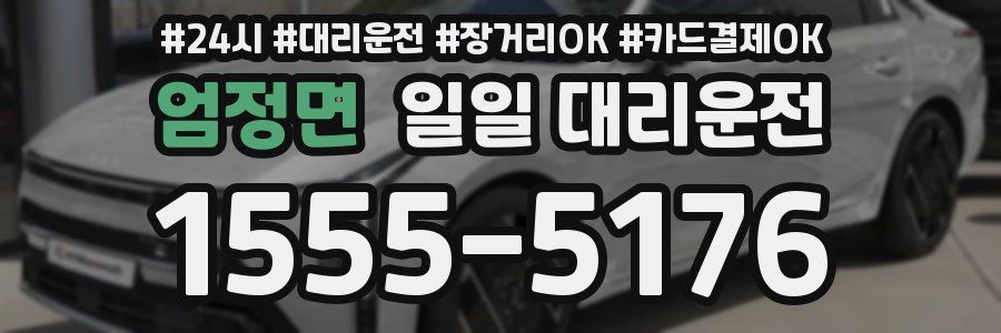 엄정면 일일 대리운전
