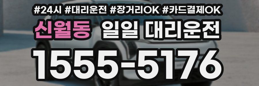 신월동 일일 대리운전