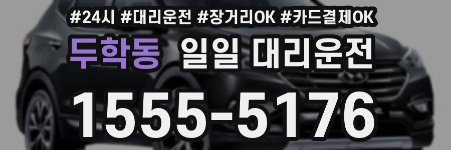 두학동 일일 대리운전