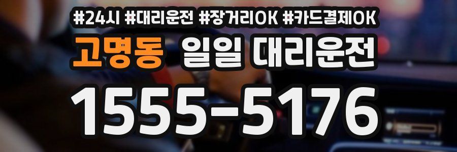 고명동 일일 대리운전
