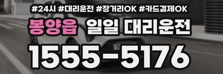 봉양읍 일일 대리운전
