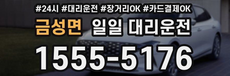 금성면 일일 대리운전