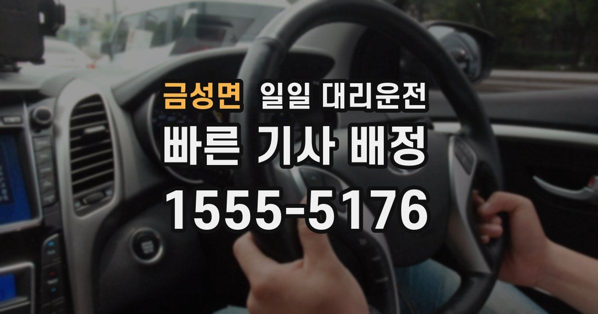 금성면 일일 대리운전