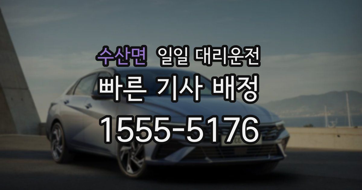 수산면 일일 대리운전