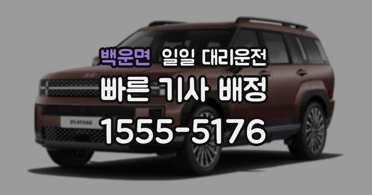 백운면 일일 대리운전