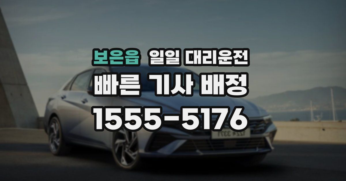 보은읍 일일 대리운전