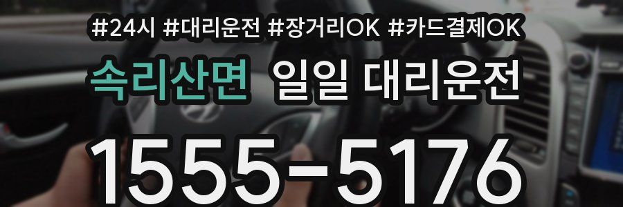 속리산면 일일 대리운전