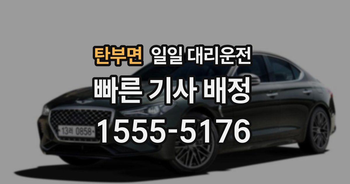 탄부면 일일 대리운전