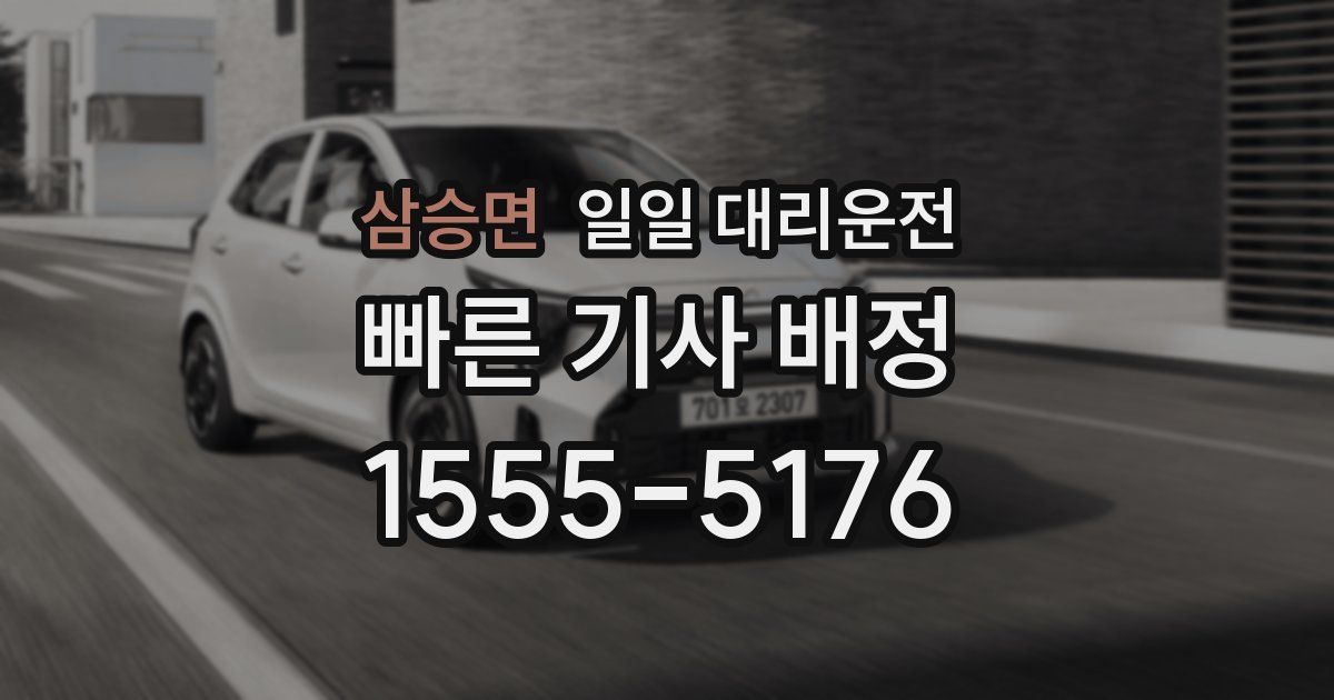 삼승면 일일 대리운전