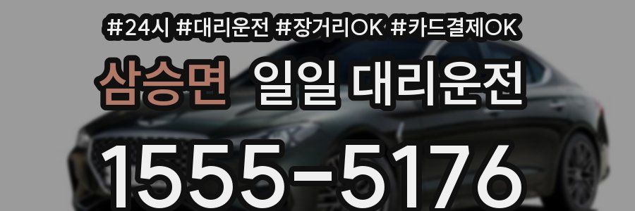 삼승면 일일 대리운전