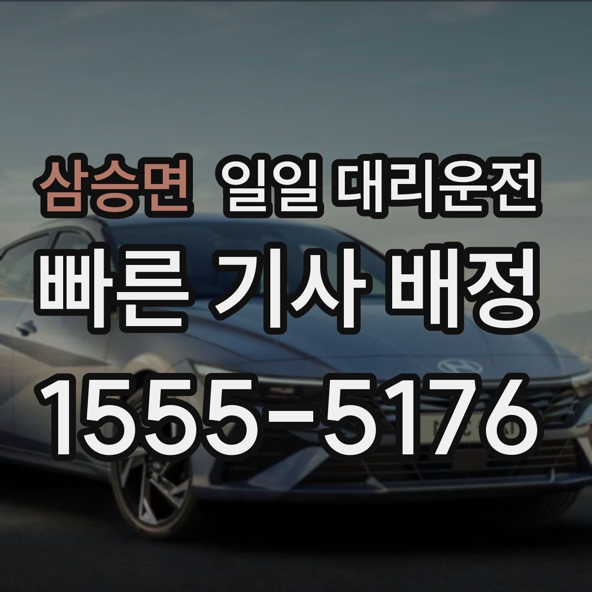 삼승면 일일 대리운전