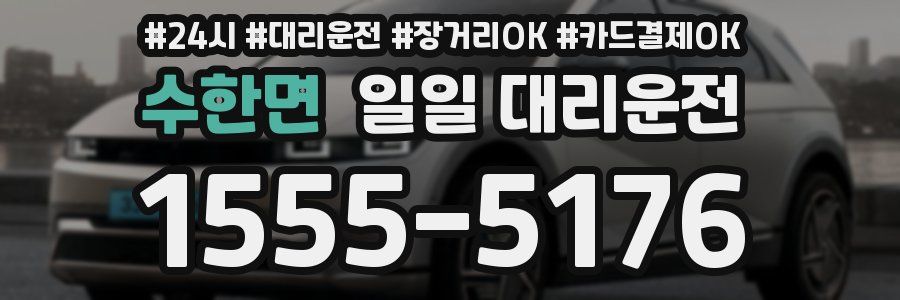 수한면 일일 대리운전