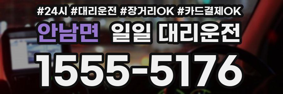 안남면 일일 대리운전