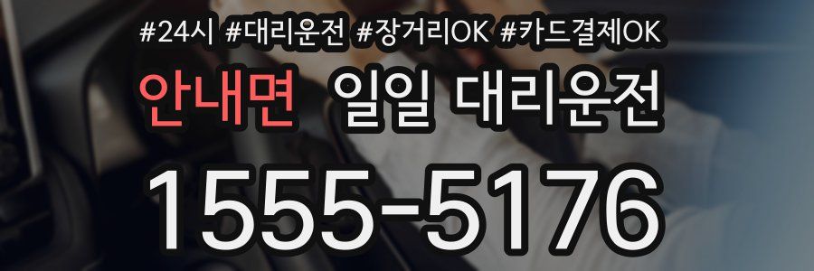 안내면 일일 대리운전