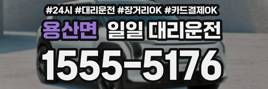 용산면 일일 대리운전