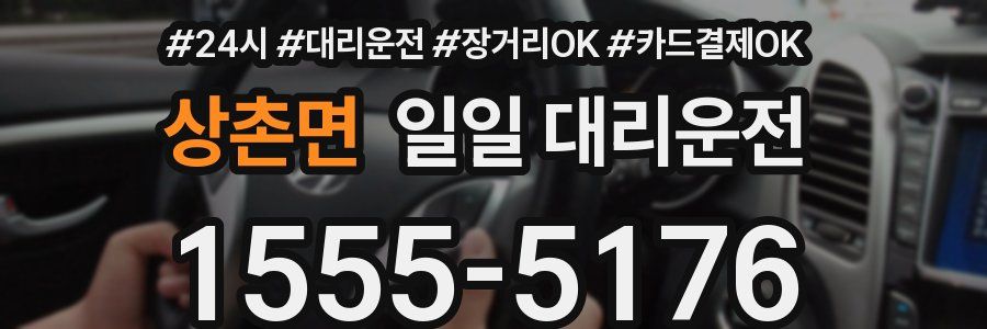 상촌면 일일 대리운전