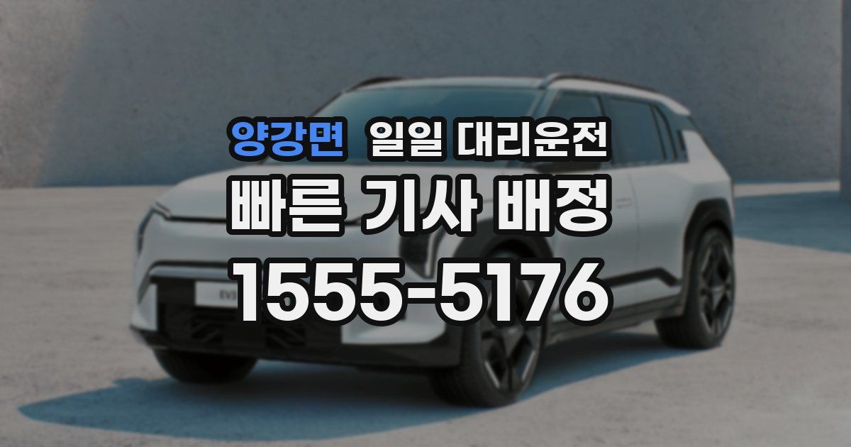 양강면 일일 대리운전