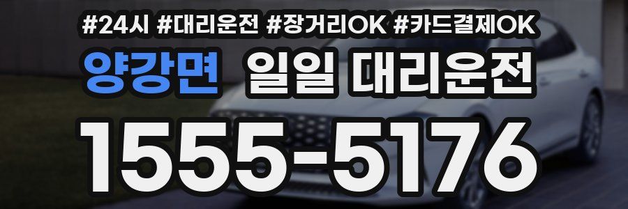 양강면 일일 대리운전