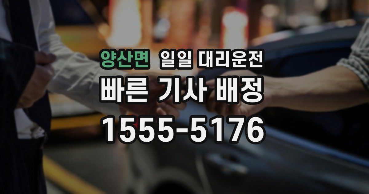양산면 일일 대리운전
