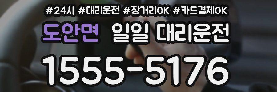 도안면 일일 대리운전
