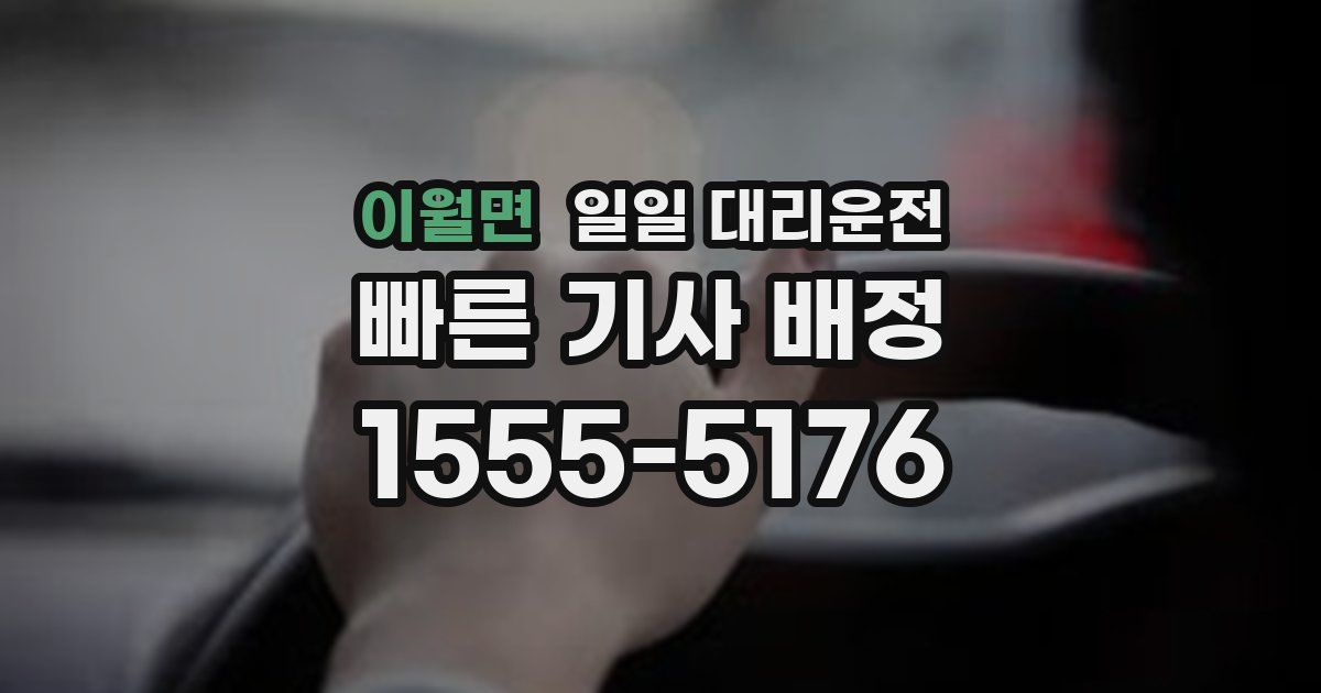 이월면 일일 대리운전