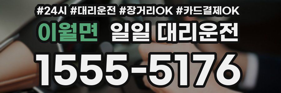 이월면 일일 대리운전
