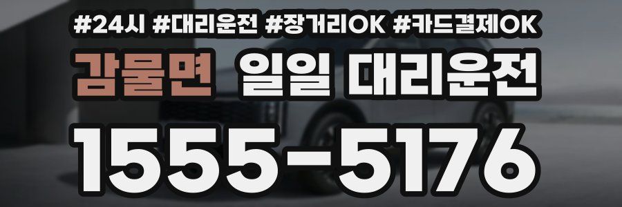 감물면 일일 대리운전