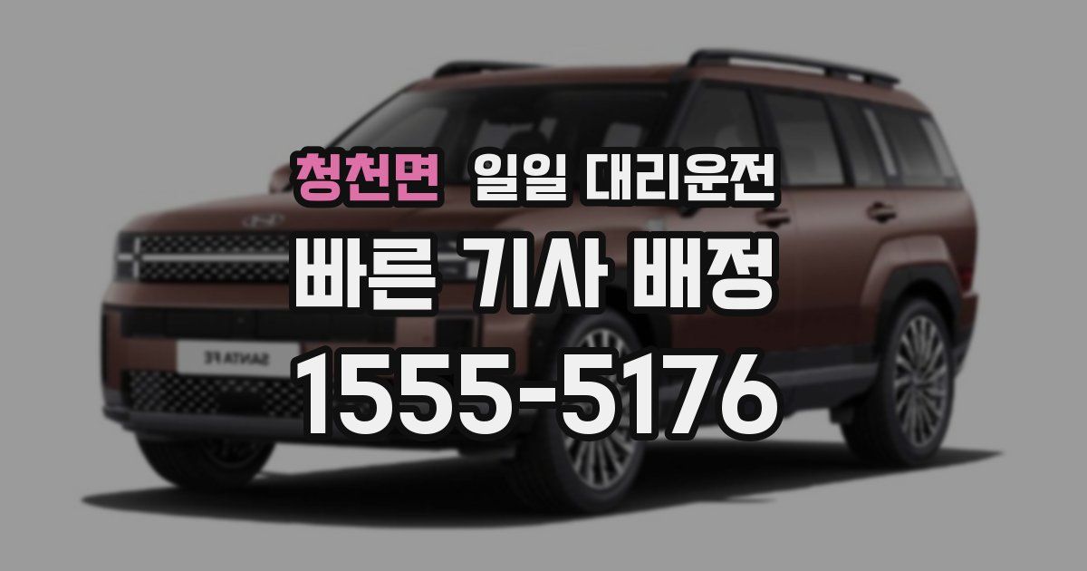 청천면 일일 대리운전
