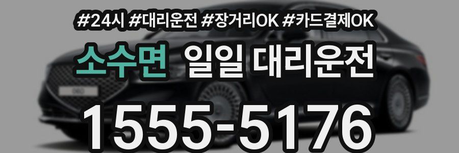 소수면 일일 대리운전