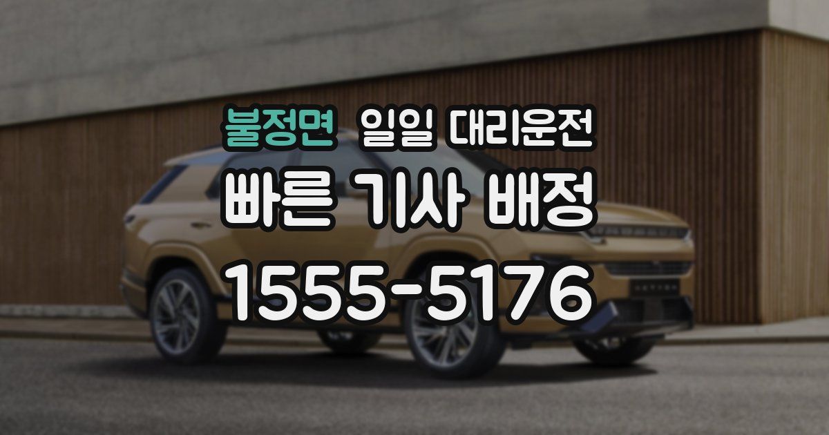 불정면 일일 대리운전